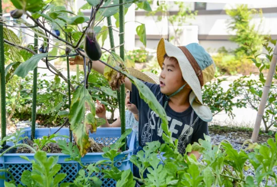 家庭菜園で育てたナスを収穫する子どもたちの自然豊かな暮らしの風景