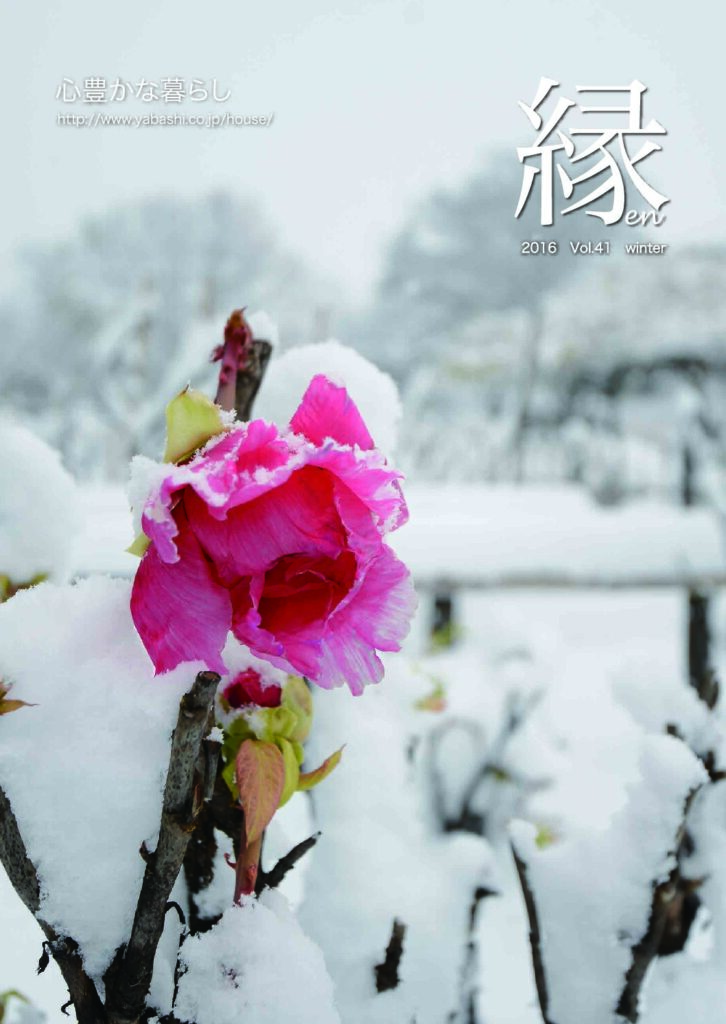 kVol.41